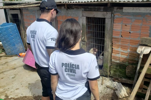 Imagem da Galeria