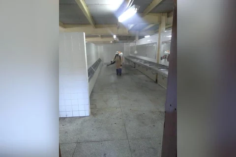 Imagem da Galeria