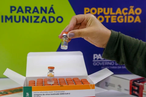 Imagem da Galeria