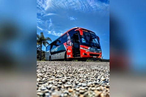 Imagem da Galeria