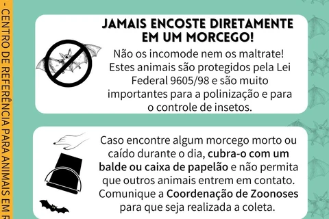 Imagem da Galeria