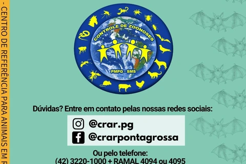 Imagem da Galeria