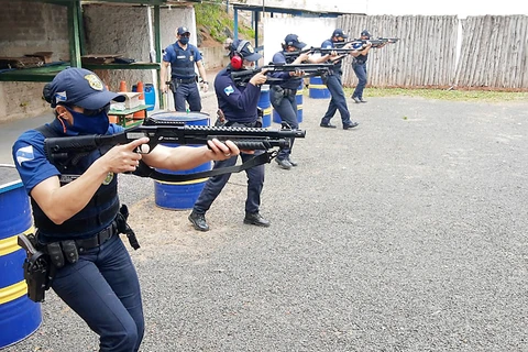 Imagem da Galeria