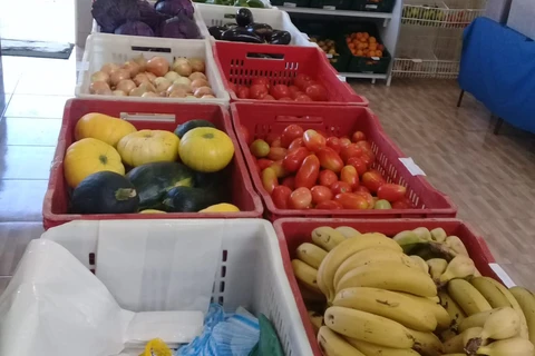 Imagem da Galeria