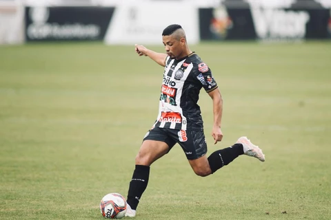 Imagem da Galeria