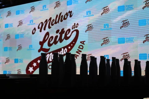 Imagem da Galeria