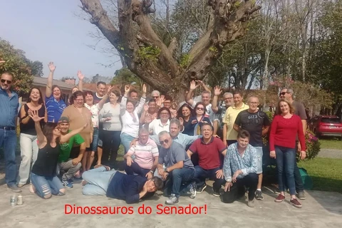 Imagem da Galeria