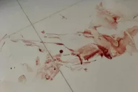Imagem da Galeria