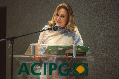 Imagem da Galeria