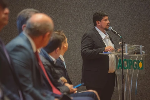Imagem da Galeria