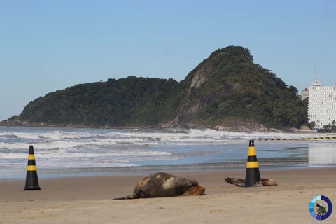 Imagem da Galeria