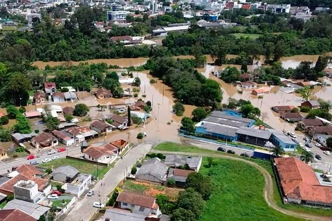 Imagem da Galeria