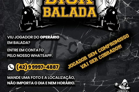 Imagem da Galeria