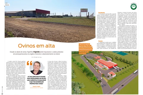Imagem da Galeria