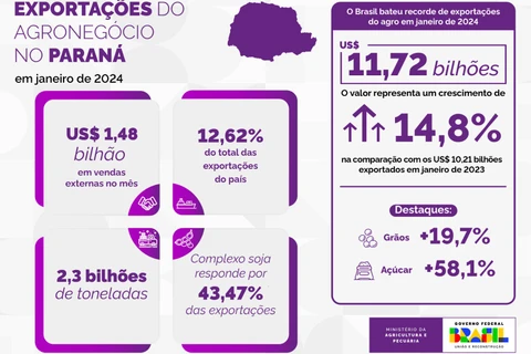 Imagem da Galeria