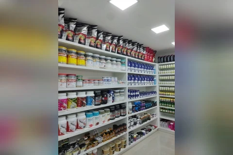 Imagem da Galeria
