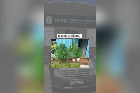 Imagem da Galeria