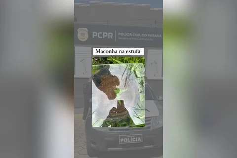 Imagem da Galeria