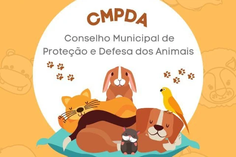 Imagem da Galeria