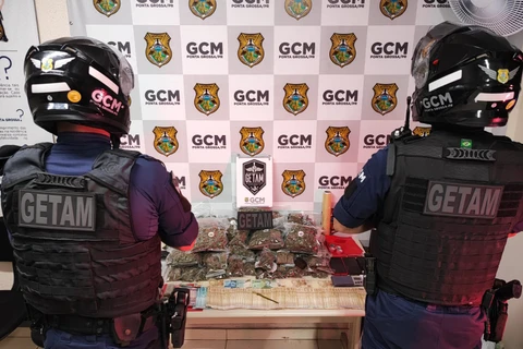 Imagem da Galeria