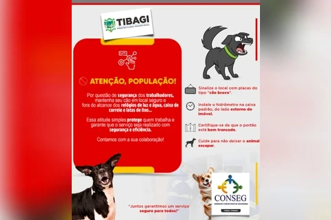 Imagem da Galeria