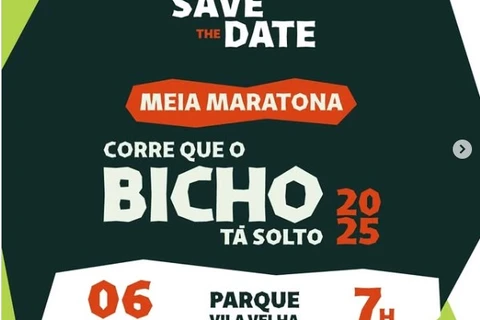 Imagem da Galeria