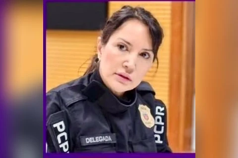 Imagem da Galeria