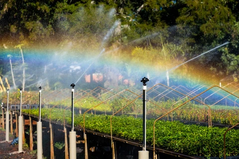 COP30: Itaipu levará experiência em recuperação de ecossistemas