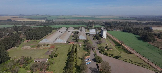 ONU/UNOPS publica licitação para contratar empresa que irá reformar unidade da Conab em PG