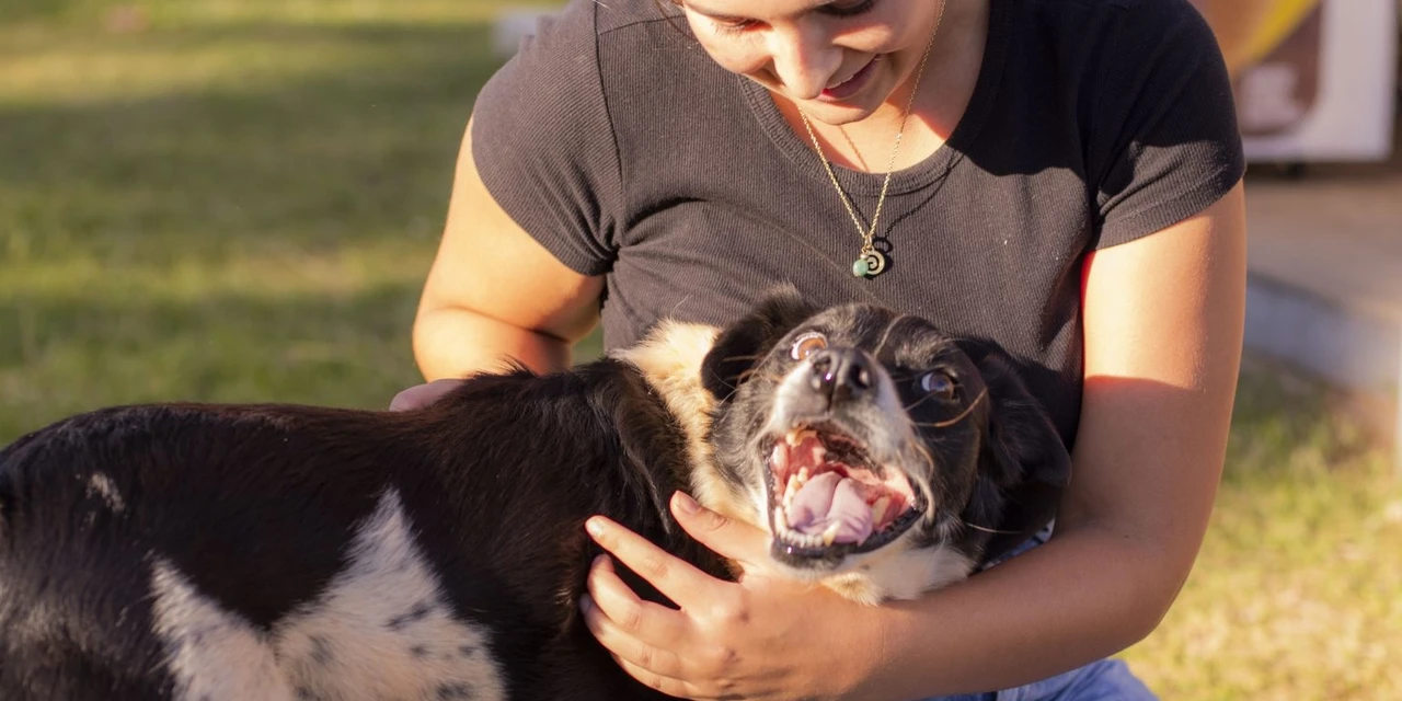 UEPG lança campanha de conscientização pelo direito dos animais