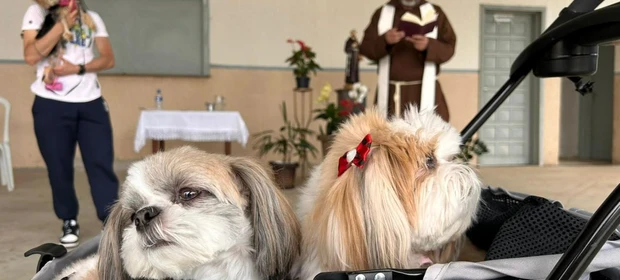 Bênção de animais continua neste fim de semana em Ponta Grossa e Irati
