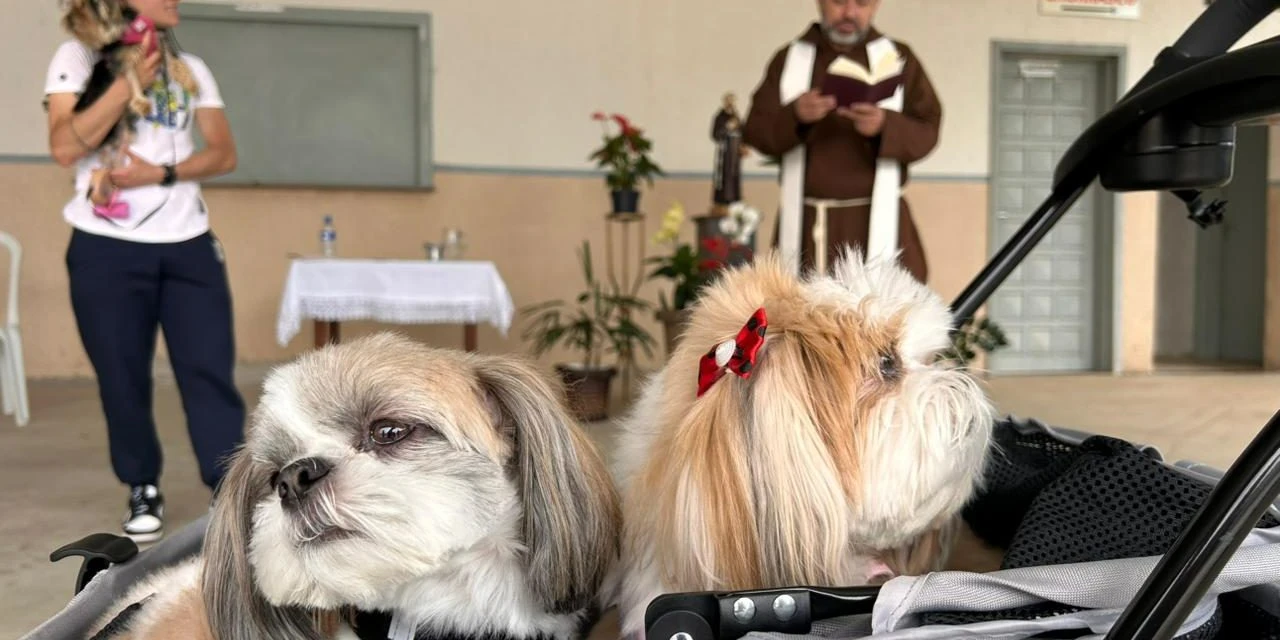 Bênção de animais continua neste fim de semana em Ponta Grossa e Irati