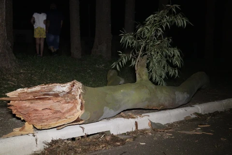 Foto: Reinaldo Marcondes/D'Ponta News