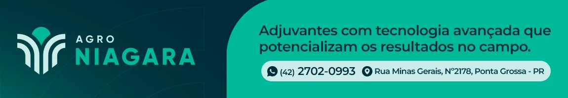 Publicidade