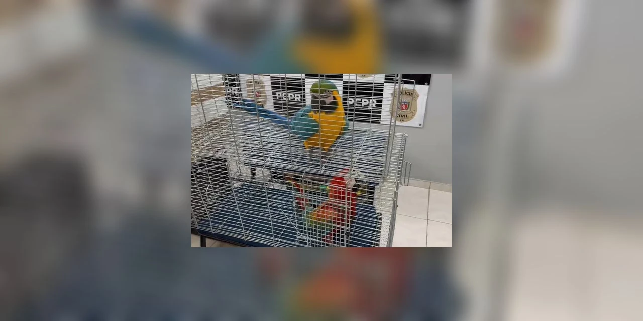 Mulher é presa por tráfico de animais e uso de documentos falsos em Guarapuava