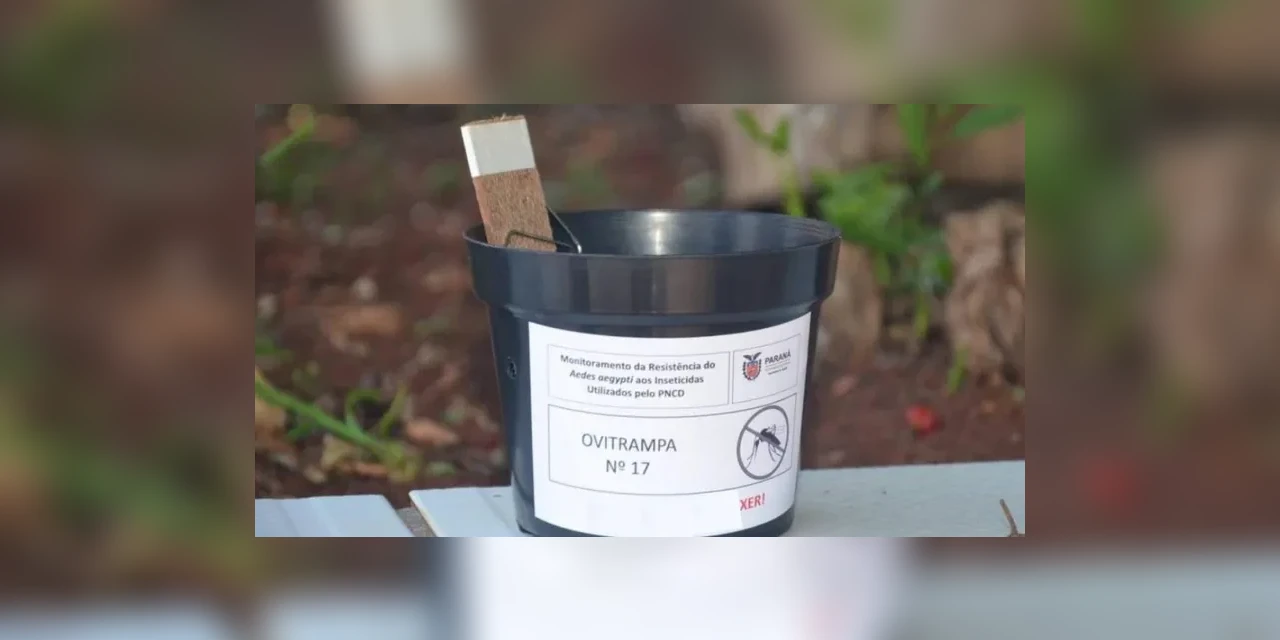 Reserva adota estratégia inusitada para conter a proliferação do Aedes aegypti