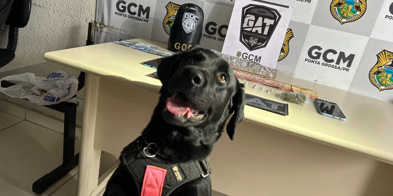 Mulher é presa após GCM encontrar maconha e crack escondidos em residência de Uvaranas