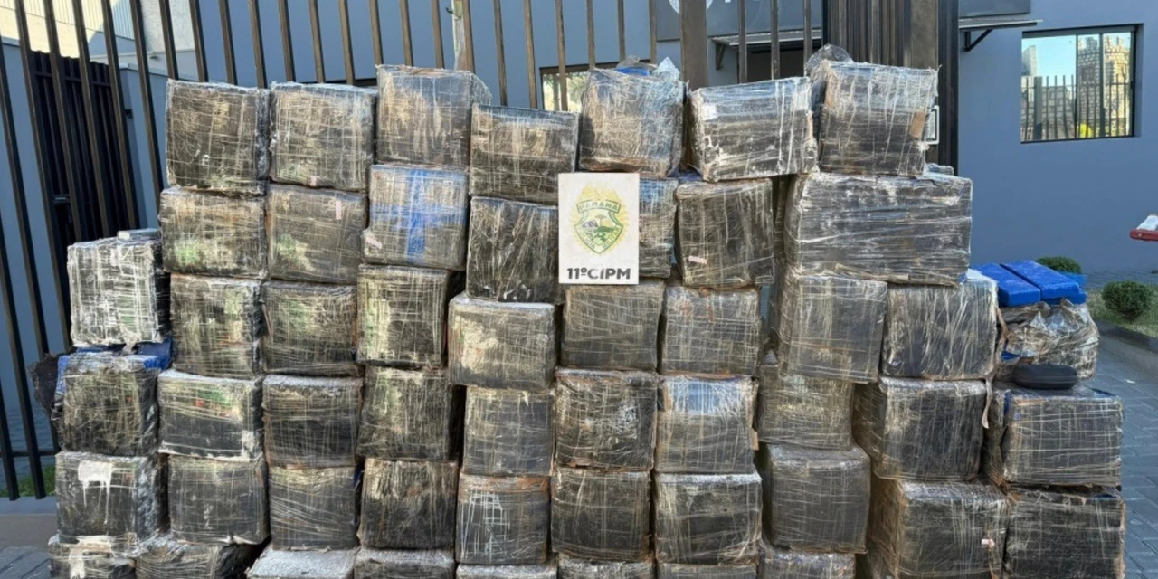 Paraná é o estado que mais apreendeu maconha no Brasil em 2025, segundo Ministério