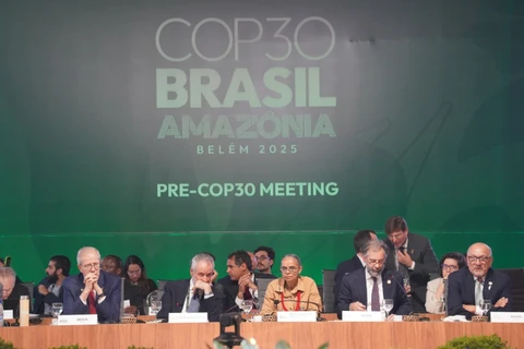 Marina Silva defende ampliação do financiamento global à preservação da natureza na Pré-COP30