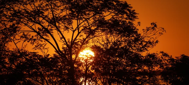 Sol volta a brilhar e eleva temperaturas em PG e região