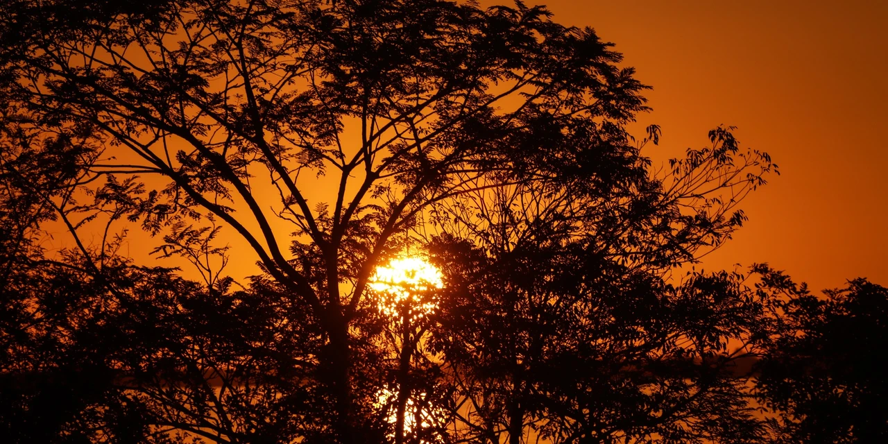 Sol volta a brilhar e eleva temperaturas em PG e região