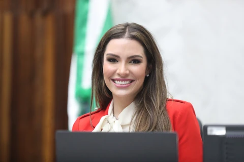 Deputada Maria Victoria defende uso e produção de biocarvão (biochar) no Paraná