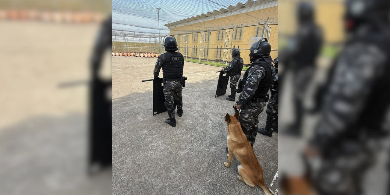 Equipes de segurança fazem revista em penitenciária de PG