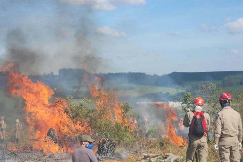 PG terá mês voltado à prevenção e ao combate de incêndios; entenda
