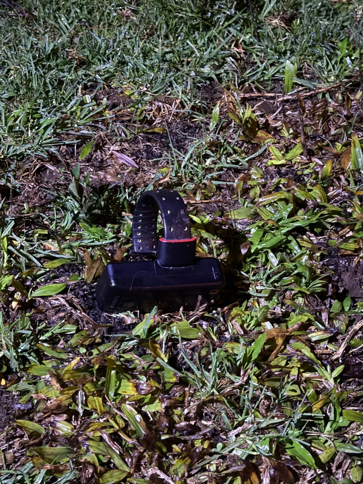 TORNOZELEIRA ELETRÔNICA FOI DEIXADA NA CENA DO CRIME | DIVULGAÇÃO/POLÍCIA MILITAR