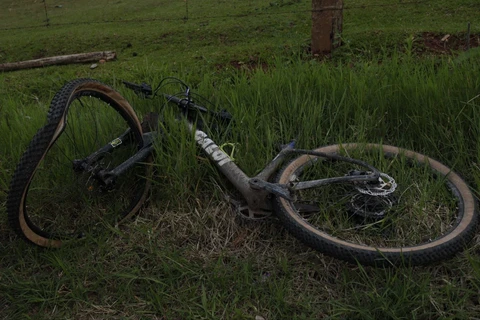 Reinaldo Marcondes / D'Ponta News