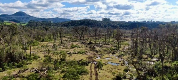 Fiscalização flagra destruição de mata nativa e aplica multa de mais de R$ 800 mil na região