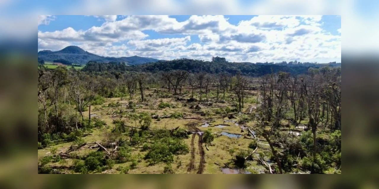 Fiscalização flagra destruição de mata nativa e aplica multa de mais de R$ 800 mil na região