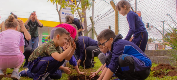 Alunos produzem bosque de plantas nativas em escola de PG