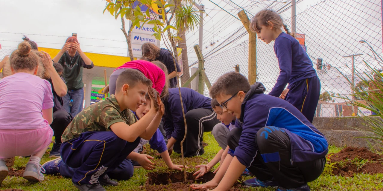 Alunos produzem bosque de plantas nativas em escola de PG